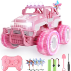 Remote Control Models