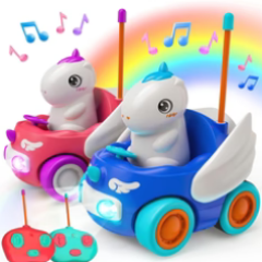 Remote Control Models