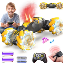 Remote Control Models